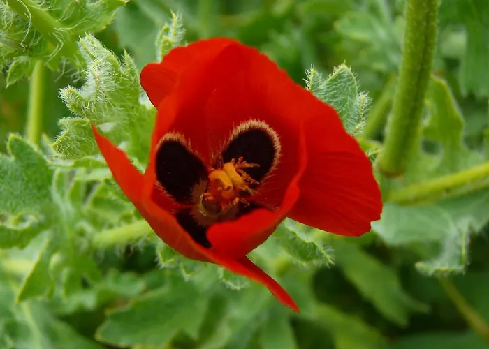 Casa Familia - Relax