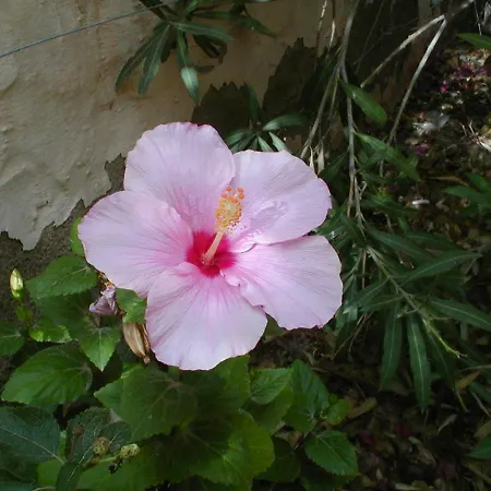 Hébergement de vacances Casa Familia - Relax