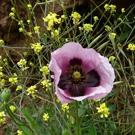 Casa Familia - Relax