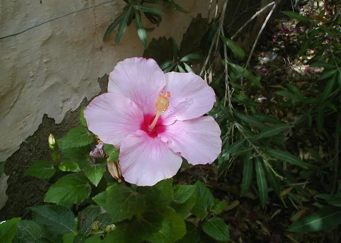 Hébergement de vacances Casa Familia - Relax