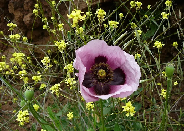 Casa Familia - Relax