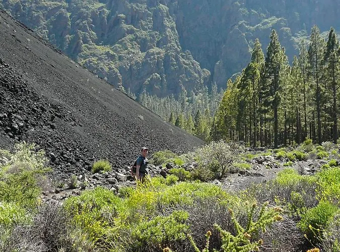 Casa Familia - Relax San Isidro (Tenerife)